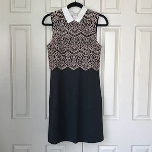 Halogen Collared Lace Dress 4P